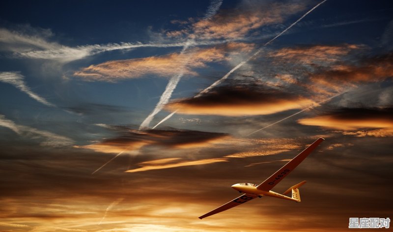 世界公认十大星座，十二星座什么星座最适合当 - 星座运势