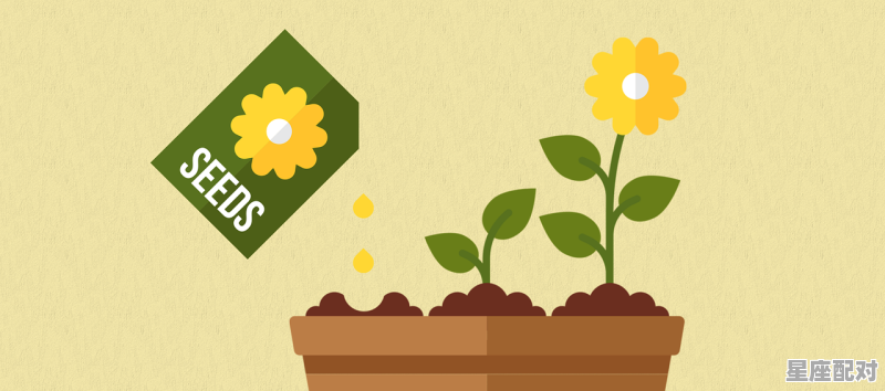 唯一能让双子女深爱的星座，双子座女星座配对星座排名 - 星座运势