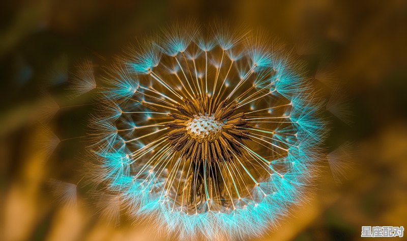 水瓶男和天秤女有多配，天秤男配水瓶女星座配对指数是多少啊 - 星座运势