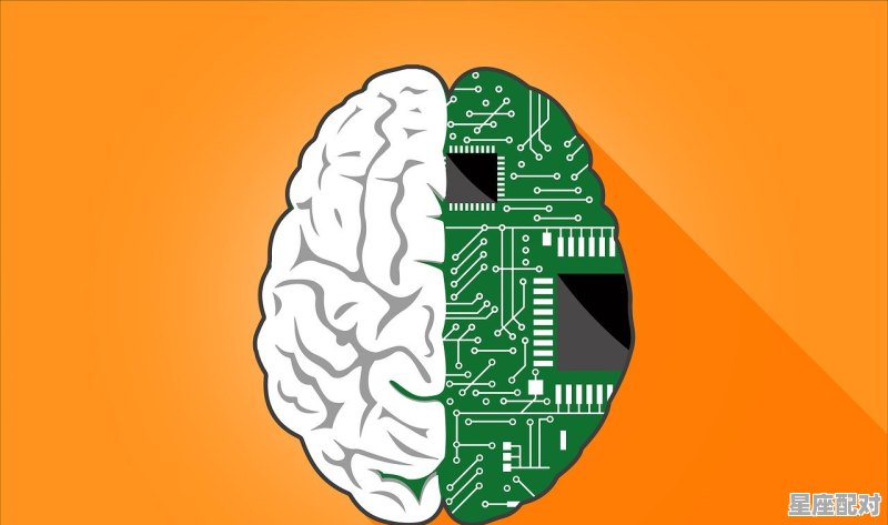 传统节日的消失感想_为什么现代人要取消字号 传统节日的消失感想_为什么现代人要取消字号 - 星座运势