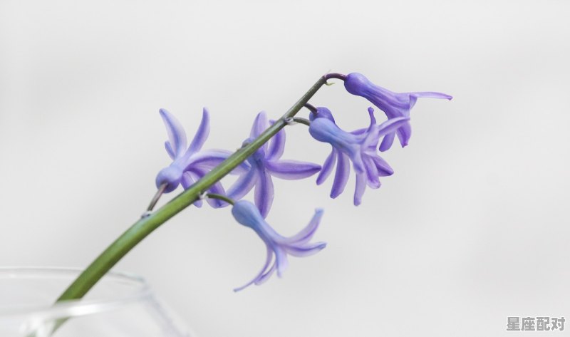 摩羯座女生真正的性格,魔蝎座座女生性格 摩羯座女生真正的性格,魔蝎座座女生性格 - 星座运势