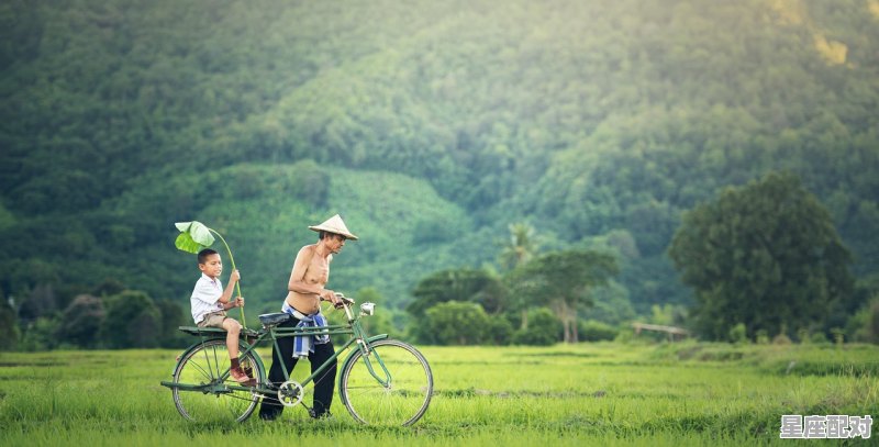 雾里看花是指什么生肖_那英老家是哪里的 雾里看花是指什么生肖_那英老家是哪里的 - 星座运势