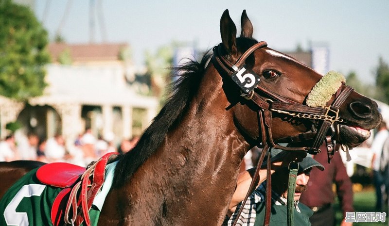千军万马向前冲是代表什么动物_千军万马勇奔腾打一动物名称 - 星座运势