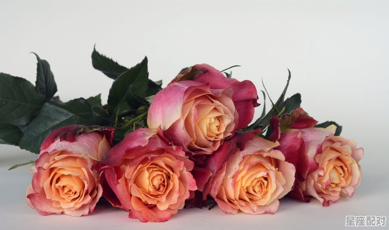 周代思想家,星座塔罗运势今日 周代思想家,星座塔罗运势今日 - 星座运势