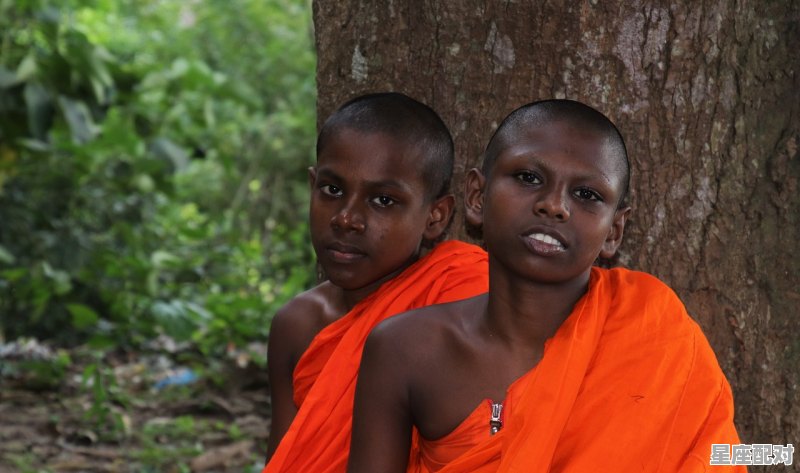 观音菩萨是什么生肖,不看僧面看佛面指什么生肖 - 星座运势