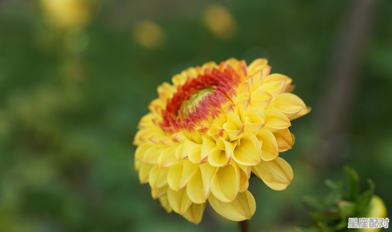 祈祷2021年好运的句子_今日运势送达 忌回首 - 星座运势