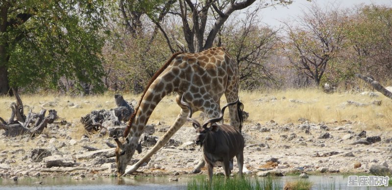 三醉岳阳人不识打动物_马仙娘娘什么生肖 三醉岳阳人不识打动物_马仙娘娘什么生肖 - 星座运势