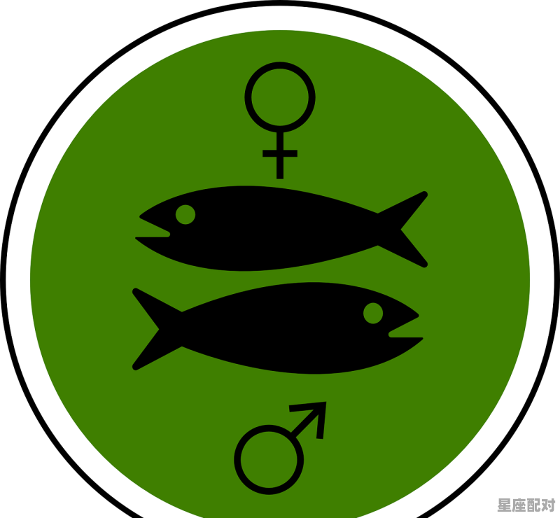 星座伴侣是什么意思，十二星座配对的事物是什么意思 - 星座运势