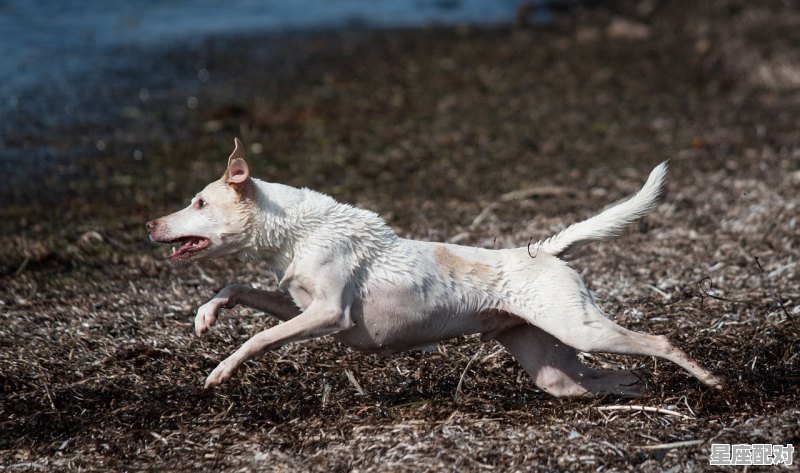 和好朋友的搞笑群名,梦到朋友脱单 和好朋友的搞笑群名,梦到朋友脱单 - 星座运势