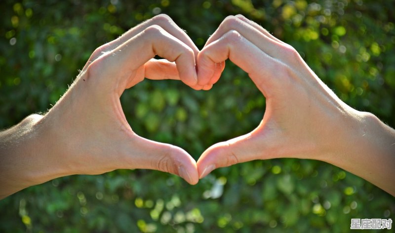 87年4月是什么兔,87女兔今日运势 87年4月是什么兔,87女兔今日运势 - 星座运势