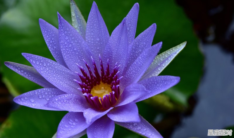 在有生的瞬间能遇到你竟花光所有运气是什么意,继续听明年今日运势 - 星座运势