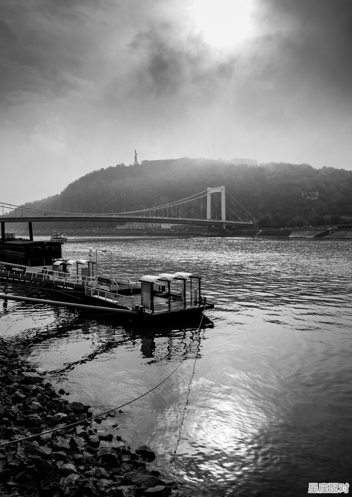 有关“夜游长江”的诗句有哪些,梦到长江水 有关“夜游长江”的诗句有哪些,梦到长江水 - 星座运势