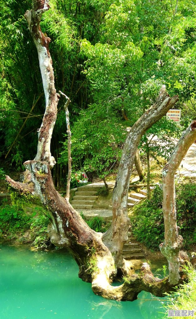 梦到朋友自杀,梦到朋友自杀 梦到朋友自杀,梦到朋友自杀 - 星座运势