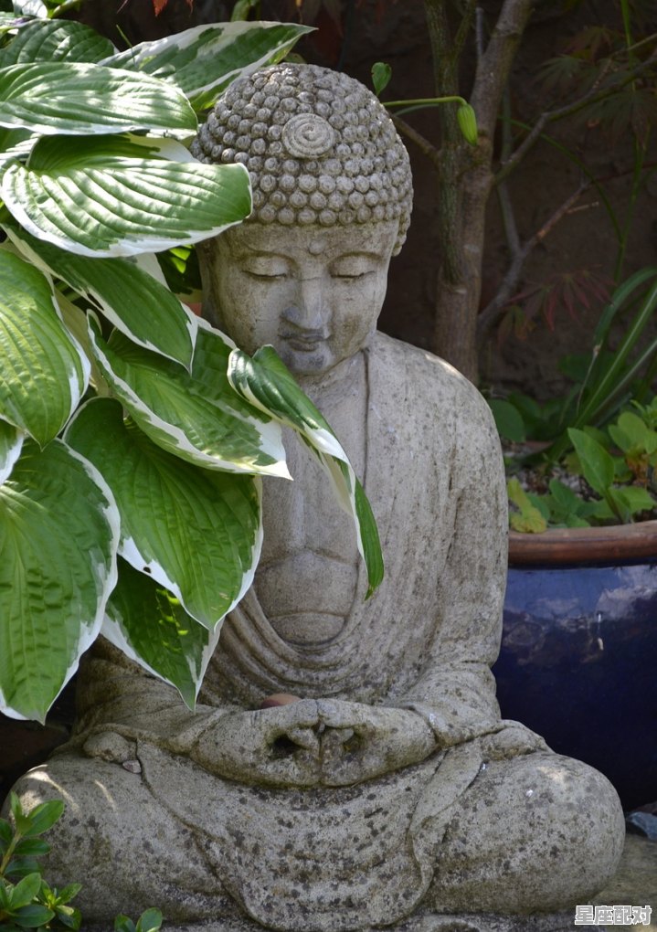 从哲学角度浅谈星座文化_佛系星座排行榜前十名 - 星座运势