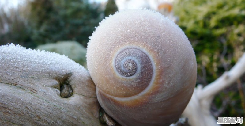 拱极是什么意思_金星拱天王星什么意思 - 星座运势