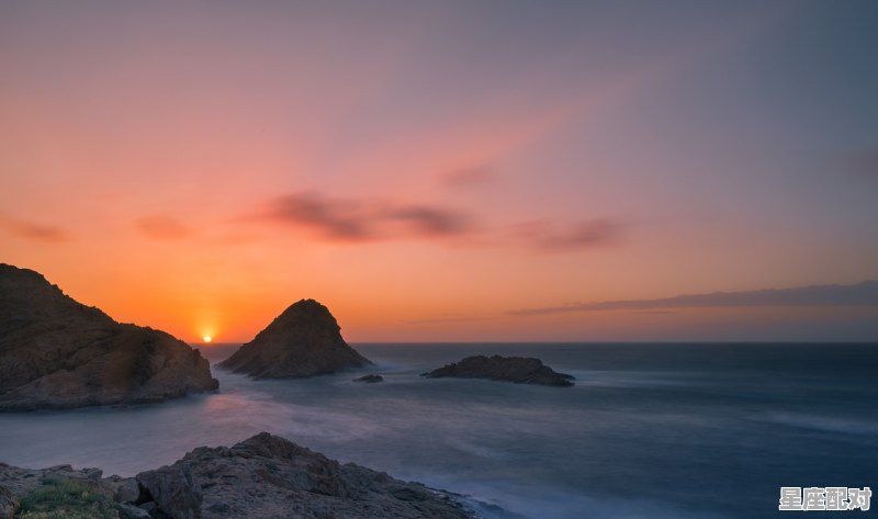十二星座哪位有龙血，我是射手座_大梅沙愿望塔值得去吗 - 星座运势