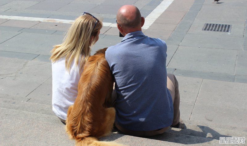 天生我材必有用，千金散尽还复来.打一动物是什么_一心二意必误是指什么动物 - 星座运势