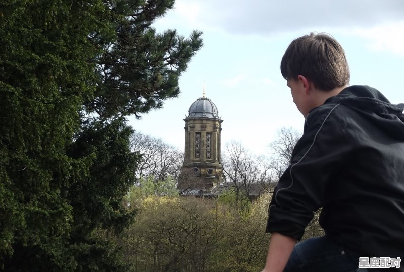 徐鸣是何许人也，后弦什么星座 - 星座运势