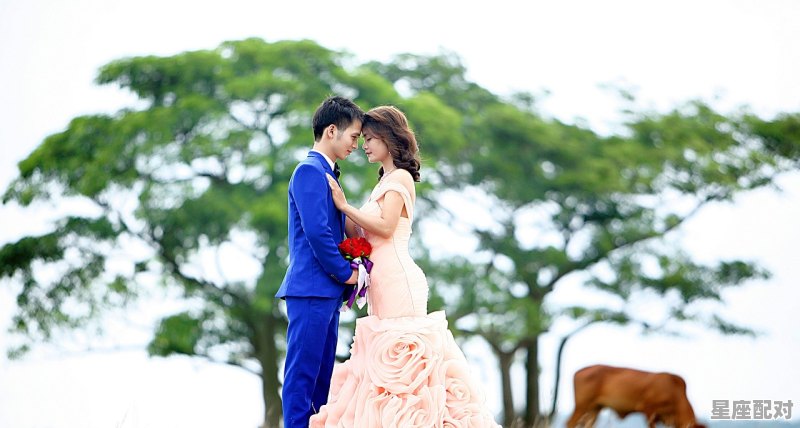 你认为结婚为什么要拍婚纱照，可以不拍吗，梦到别人拍婚纱照 - 星座运势