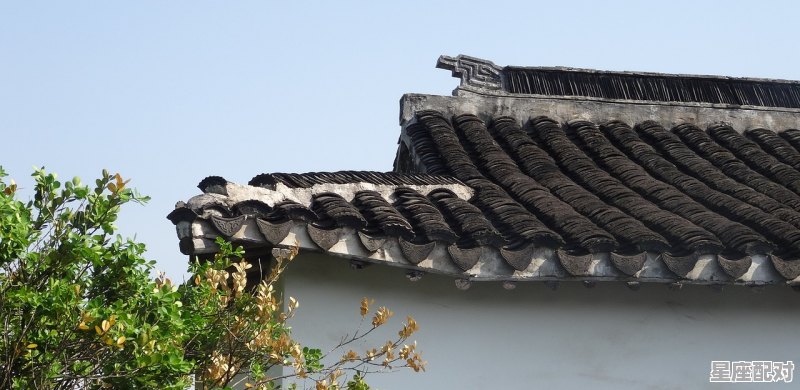 农村院子适合种什么树,农村盖房子打顶习俗 农村院子适合种什么树,农村盖房子打顶习俗 - 星座运势