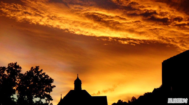 做梦梦到蹦极,做梦梦到蹦极 - 星座运势