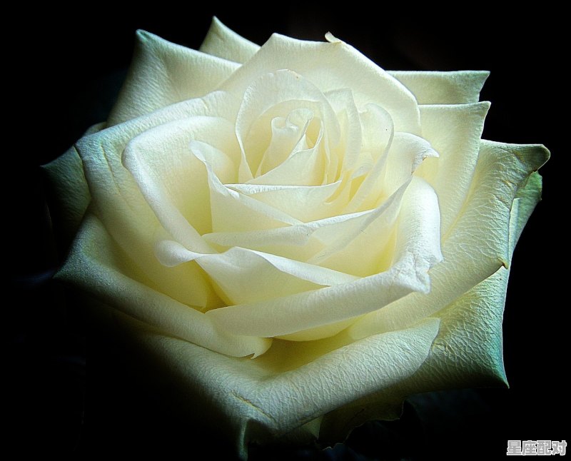 十二星座有哪些星座,十二星座中有什么 十二星座有哪些星座,十二星座中有什么 - 星座运势