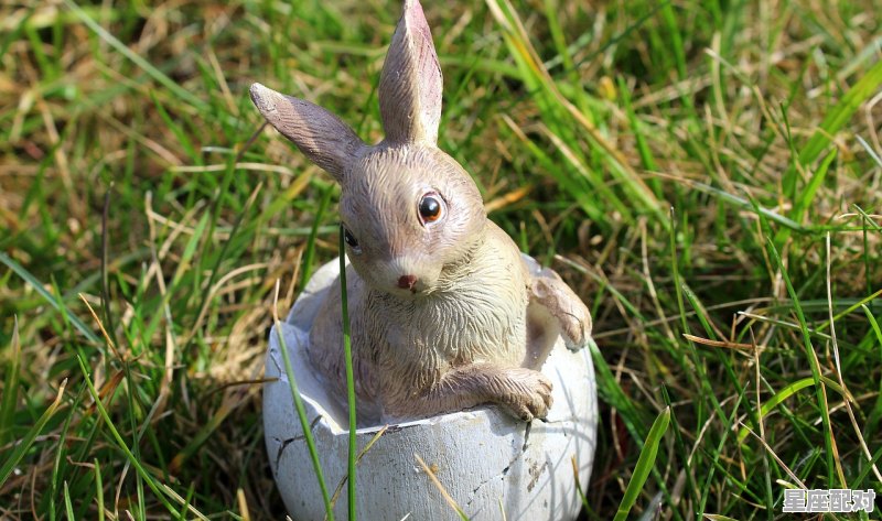 狗带什么意思,兔对冲生肖是什么 狗带什么意思,兔对冲生肖是什么 - 星座运势