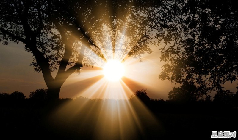 每天晚上都做梦,然后就会在四点到五点醒来,大部分都是噩梦,梦到惊醒 每天晚上都做梦,然后就会在四点到五点醒来,大部分都是噩梦,梦到惊醒 - 星座运势