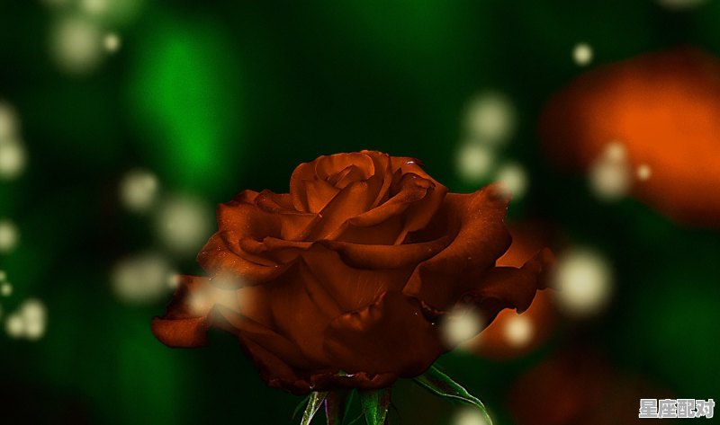 水瓶的灵魂伴侣为什么是白羊，星座配对之白羊座和水瓶座合适吗 - 星座运势