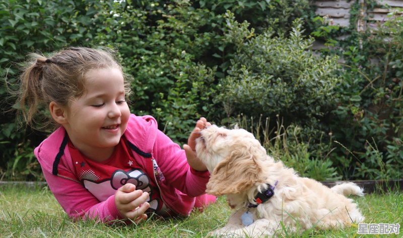 羊喜欢顶人的原因_羊为什么无缘无故顶人 - 星座运势