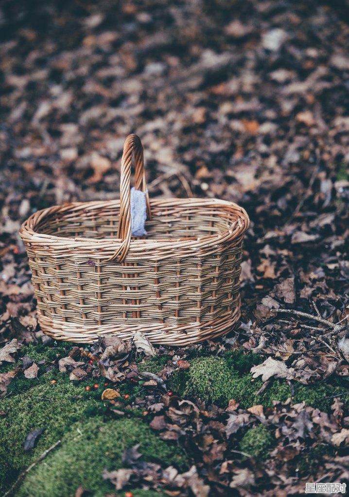 农历7月给亲人上坟,哪天都行吗,初一上坟是哪里的习俗 农历7月给亲人上坟,哪天都行吗,初一上坟是哪里的习俗 - 星座运势