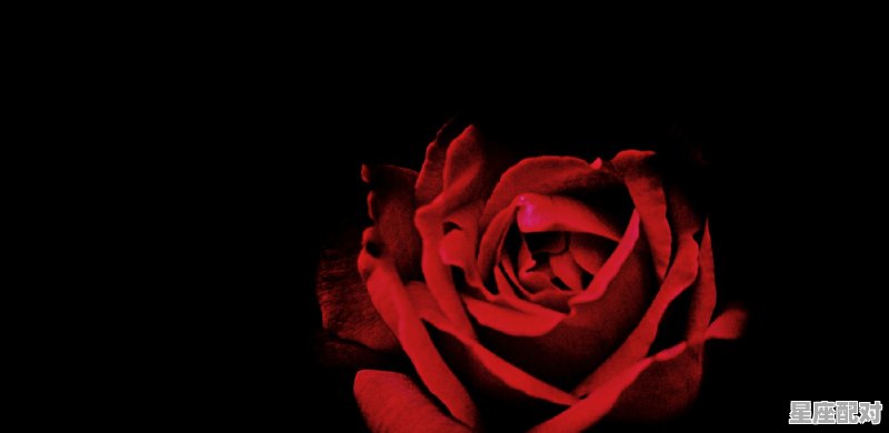 你信星座吗土味情话,双鱼座性格跳跃 你信星座吗土味情话,双鱼座性格跳跃 - 星座运势