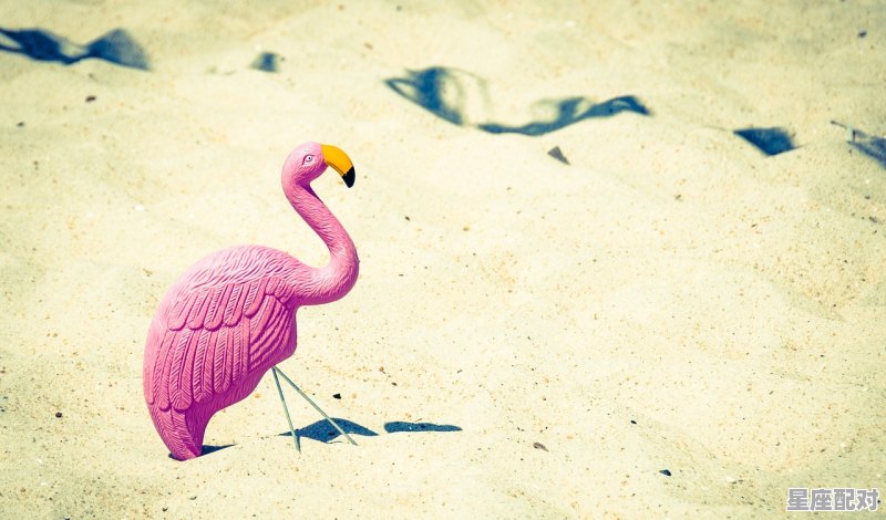 水瓶座的女人是什么性格_水瓶女的性格特点 水瓶座的女人是什么性格_水瓶女的性格特点 - 星座运势