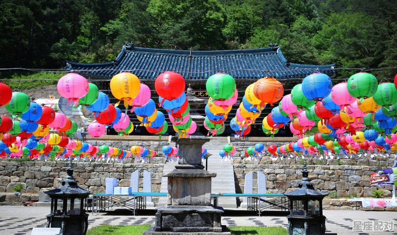 划龙舟是什么节日_赛龙舟是什么节气 划龙舟是什么节日_赛龙舟是什么节气 - 星座运势