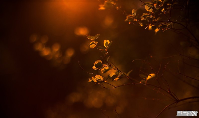 十二星座谁最有杀气排名,什么星座比较较劲 十二星座谁最有杀气排名,什么星座比较较劲 - 星座运势