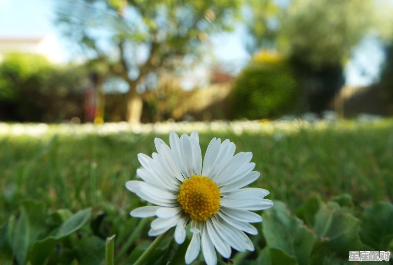 12月是什么星座,出生,什么月什么的星座 12月是什么星座,出生,什么月什么的星座 - 星座运势