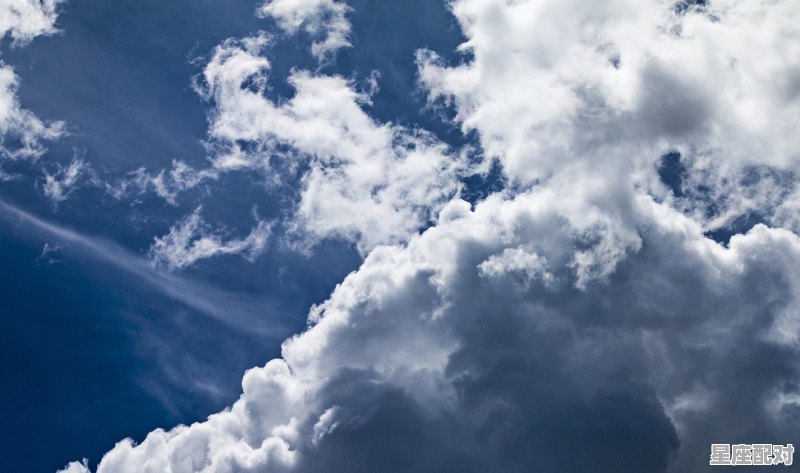 天蝎座最喜欢的五大星座_金牛男天蝎女为什么称之为绝配 - 星座运势