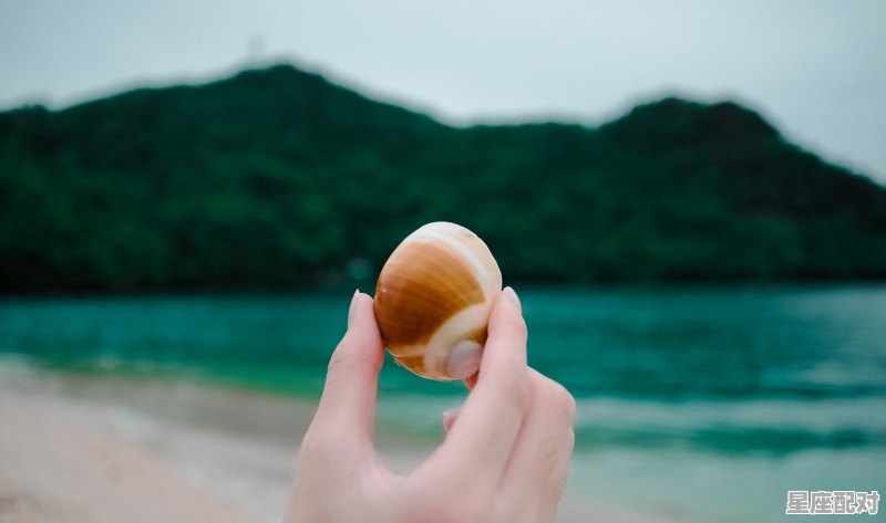 巨蟹座性格女全部资料_巨蟹座男人性格 - 星座运势