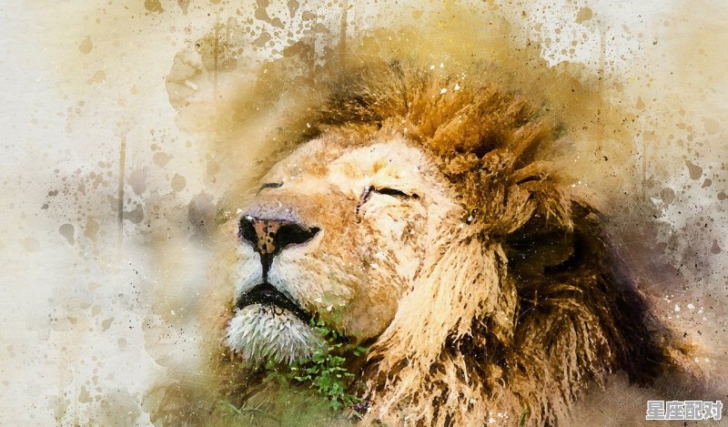 巨蟹座男生的性格外貌，蟹座的性格男 - 星座运势