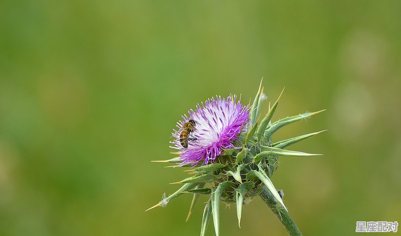 天蝎性格的十大特征，天蝎座性格专场 - 星座运势
