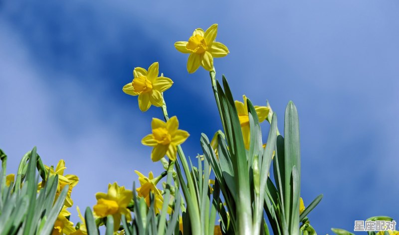 摩羯本周学习运势如何，麼羯坐今日运势 - 星座运势