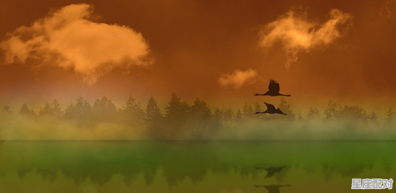 送大雁是什么时候_送老雁习俗 - 星座运势