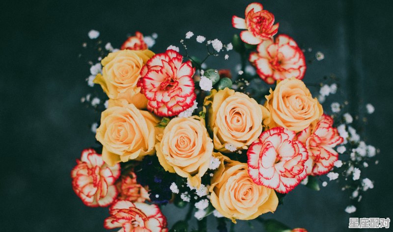 一个男生问你属什么是什么意思,特问女人是什么生肖 - 星座运势