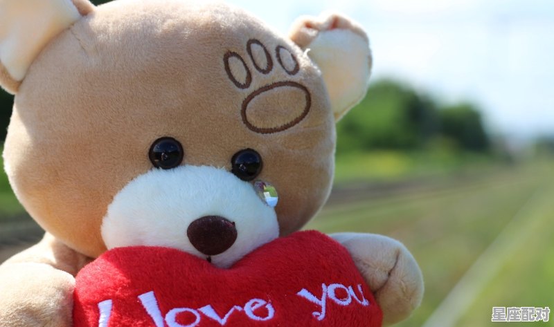 泰迪门牙松动怎么办_孕妇牙齿疼怎么办 泰迪门牙松动怎么办_孕妇牙齿疼怎么办 - 星座运势