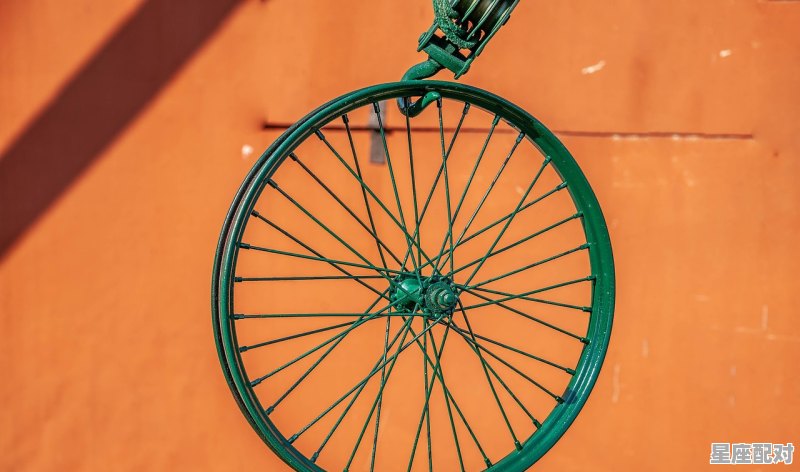 2021年12月1日是何肖日,今天晚上开是什么生肖 - 星座运势