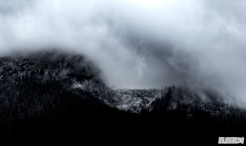 仙女座和什么座最配_天秤座和什么星座做闺蜜合适 - 星座运势