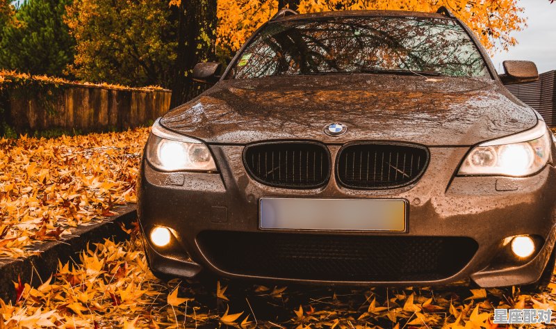 十二星座开什么车排名_什么星座可以开宝马车 - 星座运势