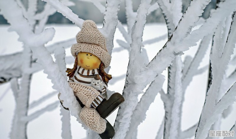 大寒节气的特点和风俗_诸暨小年有什么习俗 - 星座运势