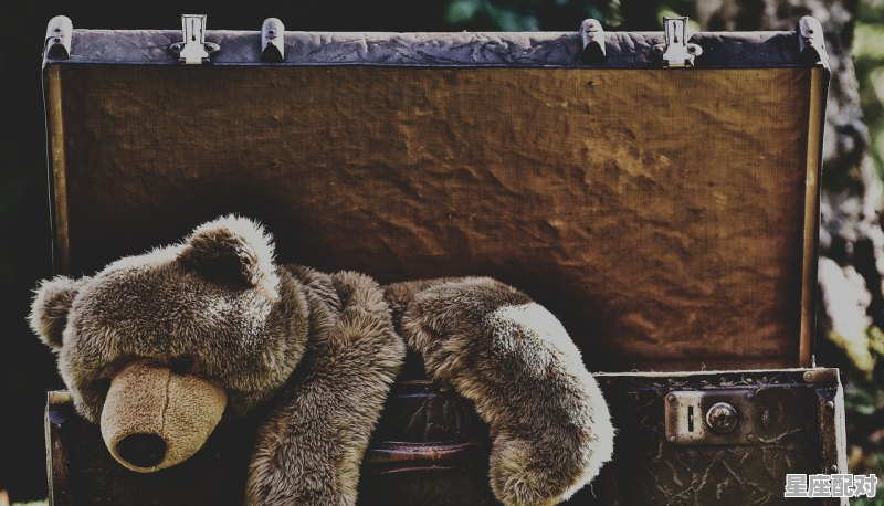 山中居住秋冬到是什么动物_风寒，指什么动物 - 星座运势