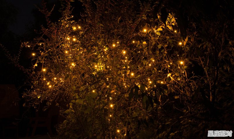 上灯节是什么节日,上灯 习俗 - 星座运势